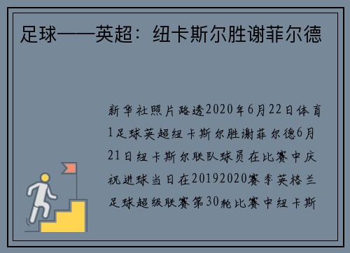 足球——英超：纽卡斯尔胜谢菲尔德